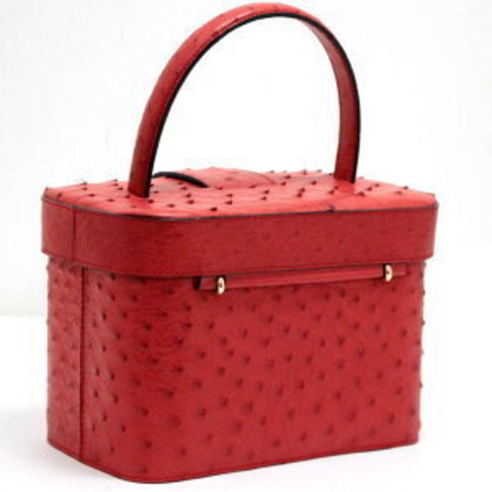 Celine Vanity Red Ostrich Bag